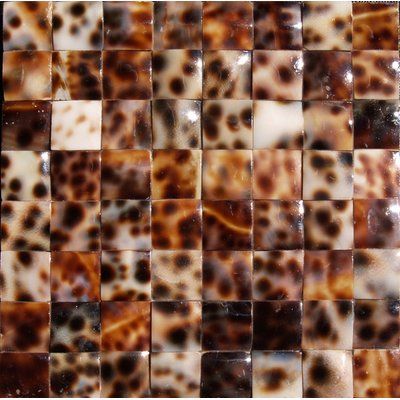 Matrix-Z 1" x 12" Authentic SeaShell Tile Seamless Square Mosaic Liner in Tiger Spot Warm Brown/White Mother of Pearl Spanish Style Decor, Shell Tiles, Stainless Steel Tile, Bullnose Tile, Smart Tiles, Mosaic Wall Tiles, Hand Painted Tiles, Tile Trim, Accent Tile