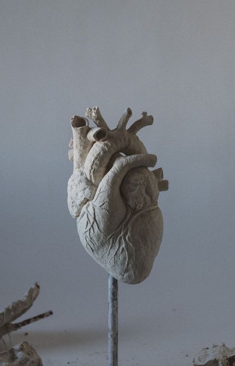 Anatomical Heart Art, Bethel Church, Anatomy Sculpture, Bethel Music, First Live, Sculpture Art Clay, Air Dry Clay Projects, Clay Diy Projects, Clay Crafts Air Dry