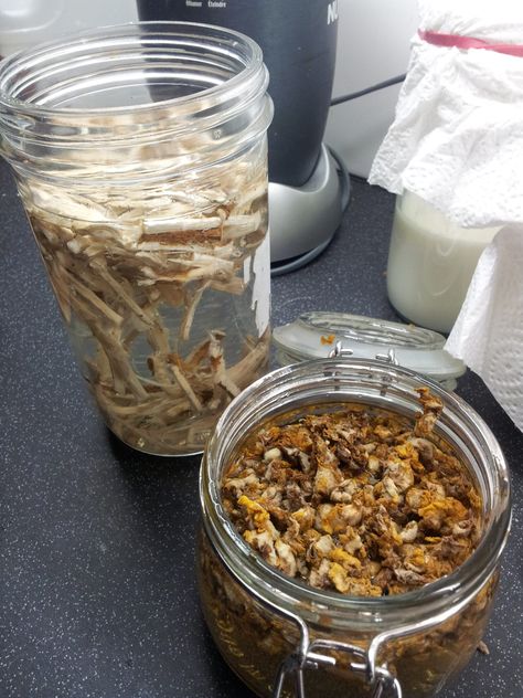 How to make Marshmallow root and Mullein flower syrup - Andrea Hughes Western Medical Herbalist, Functional Medicine, Est 2003 Marshmallow Root Tincture, Mullein Cough Syrup Recipe, Mullein Flower, Flower Syrup, Verbascum Thapsus, Plant Healing, Cough Syrup Recipe, Food Intolerance Test, Homemade Cough Syrup