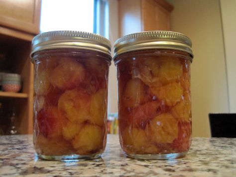 Preserve Recipes, Rainier Cherries, Cherry Preserves, Cherry Sauce, Canned Fruit, Urban Farm, Cherry Recipes, Made A Mistake, Harvest Time