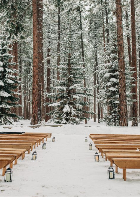 Nature inspired winter wedding surrounded by towering ponderosa pine trees. Whimsical wedding, snowy wedding. Central Oregon wedding destination. Meg Cole Photography Washington Winter Wedding, Winter Vintage Wedding, Goblin Wedding, Early Winter Wedding, Winter Forest Wedding, California Winter Wedding, Whimsical Winter Wedding, Eloping Wedding, Pine Tree Wedding