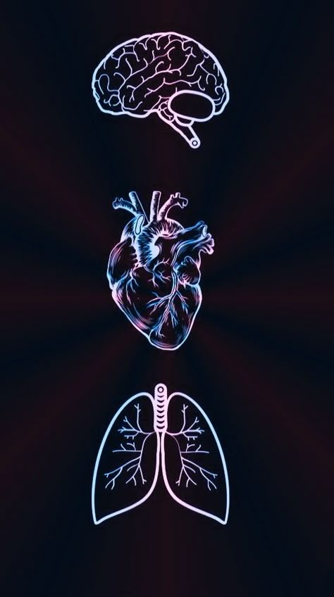 Human Heart Drawing, Anatomical Heart Art, Medical Quotes, Medical Wallpaper, Beautiful Wallpapers For Iphone, Heart Drawing, Dark Phone Wallpapers, Medical Art, Edgy Wallpaper