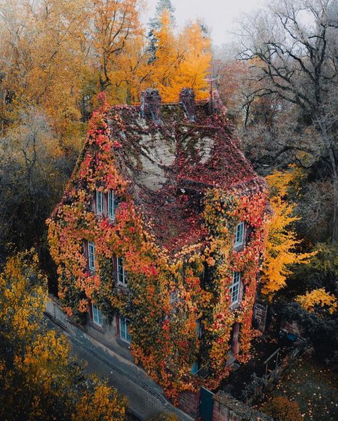 House covered with overgrown ivy in the Botanischer Garten Gießen, Germany - 9GAG Sacred Garden, Forest House, Fall Foliage, Awe Inspiring, Rafting, Botanical Gardens, The Sims, Fairy Tales, Castle