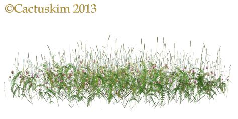 Grass Photoshop, Png Plants, Decorative Window Treatments, Grass Weeds, A Png, Growing Vines, Tree Plan, Photoshop Video, Wild Grass