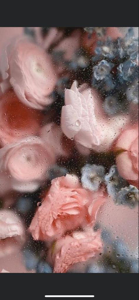 Floral phone background Flower Rain Aesthetic, Rain Aesthetic Wallpaper, Frost Background, Flower Rain, Rain Aesthetic, Chinese Wallpaper, Luxury Branding Design, Wallpaper Trends, Phone Background