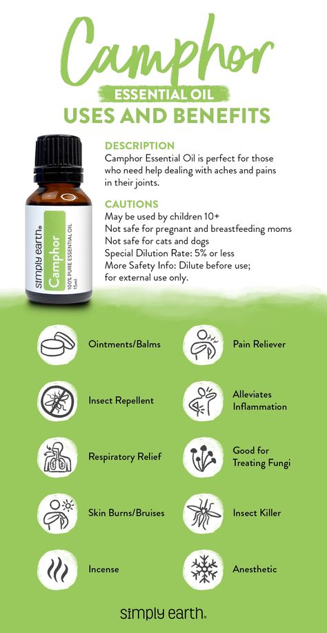 Do you have issues associated with the respiratory system? Have symptoms related to irritation and itching? Look no further! Camphor Essential Oil is the perfect all-natural remedy! It is one of the most powerful oils and offers various uses and health benefits. Camphor Uses Benefits Of, Camphor Oil Uses, Camphor Essential Oil Blends, Camphor Essential Oil Uses, Camphor Spiritual Uses, Camphor Oil Benefits, Camphor Uses, Camphor Essential Oil, Camphor Oil