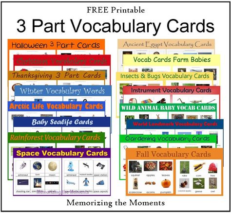 Space Vocabulary, Fall Vocabulary, Homeschooling Materials, Communication Book, Learning Cards, Montessori Classroom, Word Free, Vocabulary Building, Vocabulary Cards