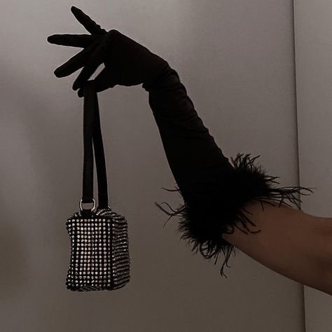 Amazon bag. rhinestone bag. Long feather gloves. Audrey Hepburn fashion