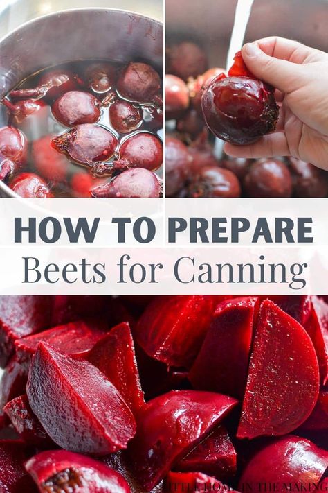 Canning Red Beets Recipes For, Canning Red Beets Recipe, Pressure Canning Beets, How To Can Beets In Water Bath, Sweet Beets Canning, Canning Beets Plain Water Bath, Canning Beets Pressure Cooker, Canning Beets Pickling, Can Beets Recipe