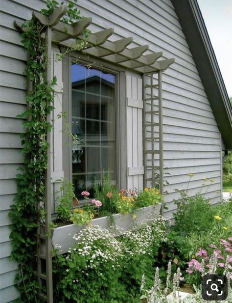 House Planter, Natural Landscaping, Yard Garden Design, Small Front Yard Landscaping, Small Front Yard, Garden Vines, Window Planter Boxes, Diy Pergola, Side Yard