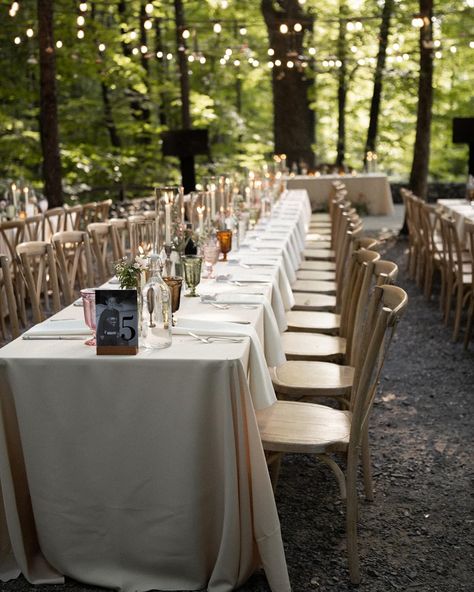 Kylee and Travis’s wedding reception dinner felt just like a backyard gathering with all their closest friends and family. 🌿♥️ #weddingplanner #chattanoogaweddings #oakleafcottage #tennesseeweddingplanner #chattanoogaweddingplanner #chattanoogawedding #oakleafcottagewedding #weddingplanning Venue: @oakleaf_cottage Photo/Video: @weaver__media Caterer/Bar: @highhautefoods DJ: @firstverseproductions Musicians: @booemusic Florist: @creeksideflowerfarm Hair: @beautybyqd Makeup: @juliafran... Backyard Gathering, Wedding Reception Dinner, Chattanooga Wedding, Cottage Wedding, Classic Color Palette, Reception Dinner, Tennessee Wedding, Oak Leaf, Wedding Idea