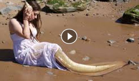 Real Mermaid Amazing At The Sea Wow - Blog- animal Mermaid Videos Real Life, Real Mermaids Photos, Real Mermaid Videos, Real Mermaids Found, Real Life Mermaid Found, Mermaids Exist, Mermaid History, Mysterious Sea Creatures, Cool Sea Creatures