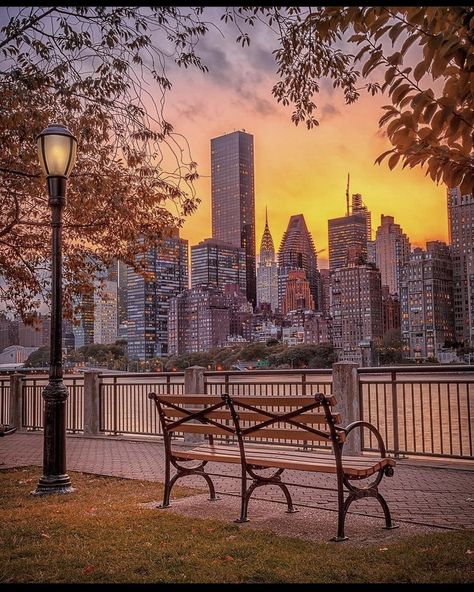 New York Sunset, Photo New York, Fall City, New York City Aesthetic, Nyc Fall, Roosevelt Island, New York City Photos, Autumn In New York, New York Pictures