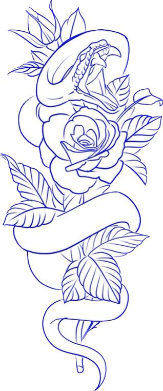 Basic Rose Drawing, Skull And Roses Drawing, Skull Hand Tattoo Stencil, Skeleton Rose Tattoo, Rose Stencil Tattoo, Tattoos Stencils Outline, Tattoo Stencils Outline Design, Miracle Tattoo, Rose Outline Drawing