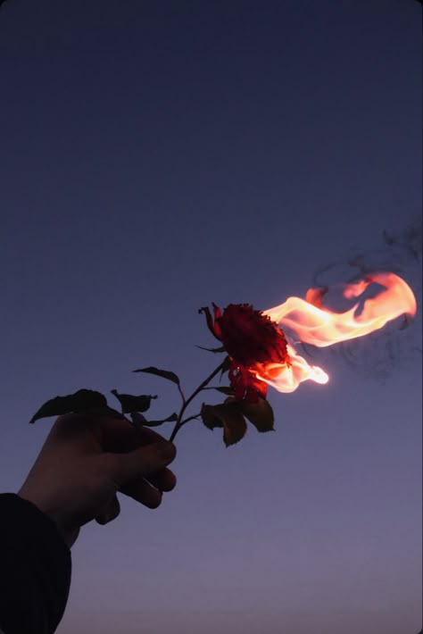 Rose On Fire, Burning Flowers, Burning Rose, Fire Image, Fire Photography, Aesthetic Roses, Rosé Aesthetic, Söt Katt, Trik Fotografi