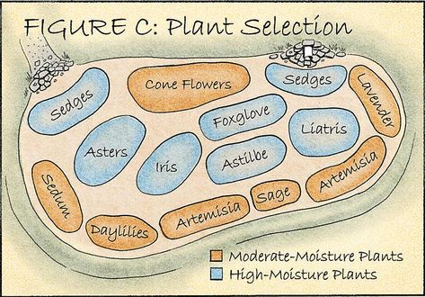 Rain Garden Design, Landscaping With Boulders, Backyard Garden Landscape, Garden Entrance, Rain Water Collection, Rain Garden, Gardening Advice, Garden Layout, Types Of Plants