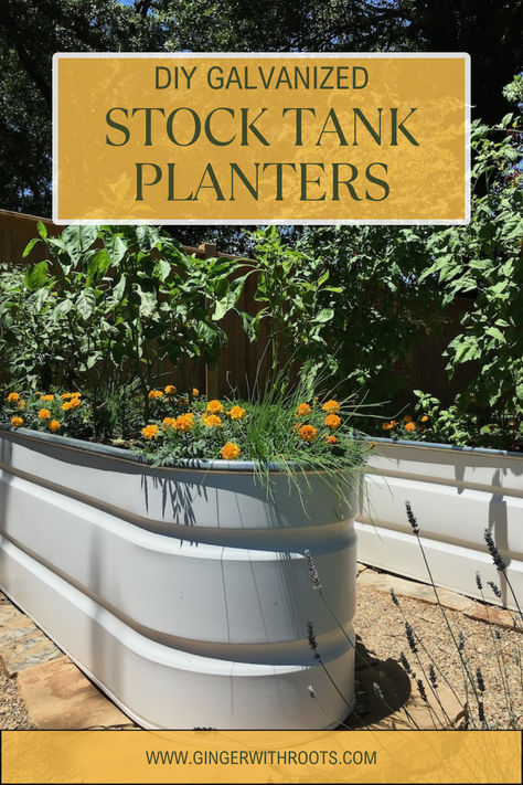 white stock tank planter with orange flowers and vegetables Galvanized Stock Tank Planter Ideas, Stock Tank Garden Raised Beds, Stock Tank Planter, Trough Planter Ideas, Stock Tank Garden, When To Plant Garden, Galvanized Water Trough, Stock Tank Gardening, Plant Advice