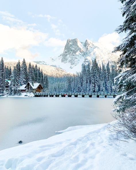 Emerald Lake Lodge Banff Winter, Emerald Lake Lodge, Yoho National Park, Lake Lodge, Emerald Lake, Never Mind, Explore Canada, Winter Photos, Never Settle