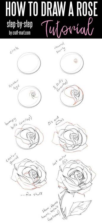 Ako Kresliť, Easy Pencil Drawings, Draw A Rose, Rose Step By Step, How To Draw Flowers, Draw Flowers, Drawing Hands, Pencil Sketch Drawing, Drawing Tutorials For Beginners