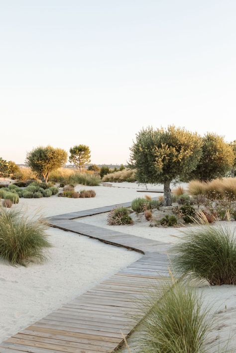 Gallery of Hopscotch House / Antonio Costa Lima Arquitectos - 17 Sand Landscape Design, Sand Dune Landscape Design, Joshua Tree Landscaping, Sand Landscape Ideas, Sand Garden Ideas, Natural Landscape Design, Sand House, Sand Landscape, Sand Garden