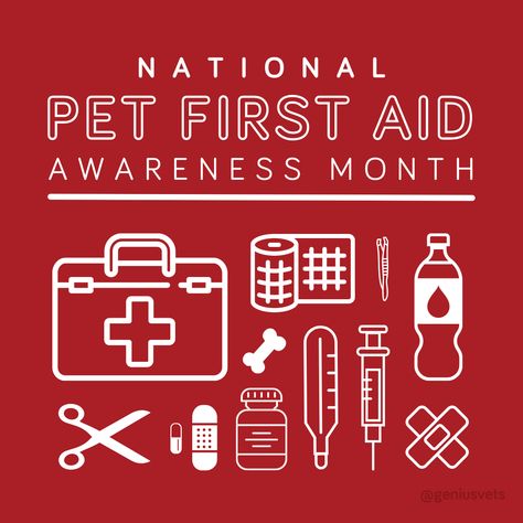 First aid is important for everyone. Celebrate Pet First Aid Awareness Month by putting together a first aid kit that will keep you and your pets safe! #petfirstaid #petsafety #petemergency #firstaidawareness #petfirstaidmonth #petfirstaidkit #CarlislePA #carlislevet Pet First Aid, Pet Safety, Aid Kit, Pet Safe, First Aid Kit, First Aid, For Everyone, Pet