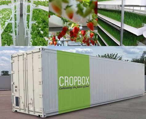 Farm in a box produces an acre's worth of crops in a shipping container : TreeHugger Container Farm, Hydroponic Systems, Vertical Farming, Urban Agriculture, Aquaponics System, Casa Container, The Homestead, Homestead Survival, Hydroponic Gardening