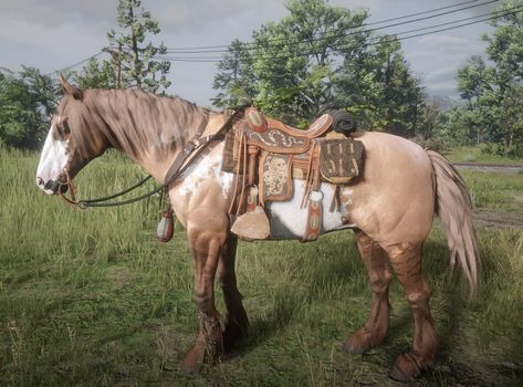 Rdr2 Horse Breeds, Rdr2 Online Horses, Rdr Horses, Rdr2 Horses, Rdo Outfits, Rdr2 Online, White Arabian Horse, Horse Art Ideas, Abc Art