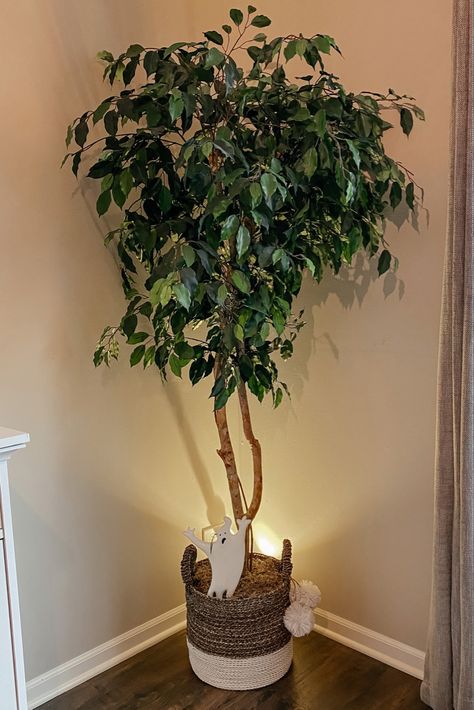 Faux Trees, Tree Indoor, Indoor Greenery, Fake Trees, Faux Greenery, Faux Tree, Artificial Tree, Nearly Natural, Woven Basket