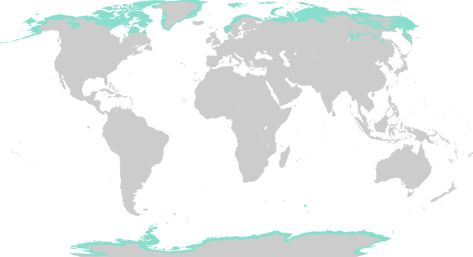 Polar Biomes — Tundra & Taiga - Expii Arctic Tundra, Boreal Forest, Conifer Trees, Venture Capitalist, Biome, Very Cold, Tall Plants, Venture Capital, Large Plants