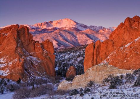 Snowy Pikes Peak Morning photo Sunrise Spring, Sandstone Rock, Colorado Photos, Pikes Peak Colorado, Red Sandstone, Waterfall Pictures, Colorado Photography, Winter Landscapes, Mountain Pictures