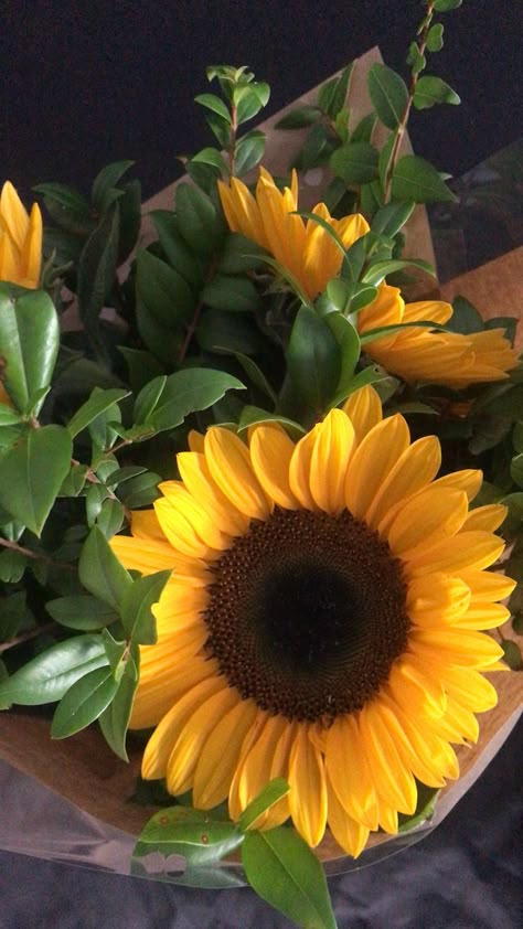 Yellow And Orange Wedding, Sunflower Quotes, My Sunflower, Pink Flowers Wallpaper, Snap Streak Ideas, Snap Streak Ideas Easy, Streak Ideas, Sunflower Wallpaper, Snap Streak