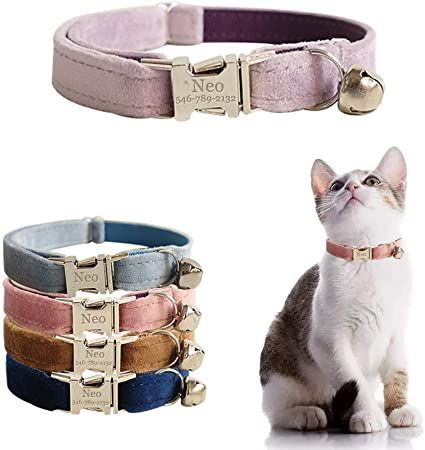 Cat Collar With Name, Luxury Dog Collars, Cat Id, Dog Collar With Name, Velvet Style, Floral Cat, Personalized Dog Collars, Lost Cat, Pet Name