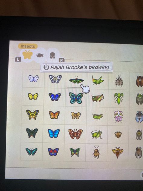 Animal Crossing Insects, Animal Crossing Critterpedia, Animal Crossing, Art Ideas, Insects, Butterflies, Bullet Journal, Gaming, Animals