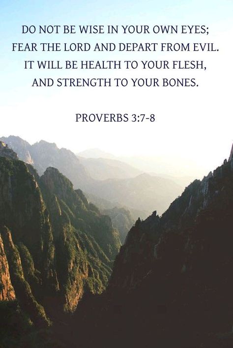 Proverbs 3: 7-8, Deny Your Flesh, Proverbs 3 7, Evil Bible, 2023 Word, Fear The Lord, Proverbs 23, God's Plans, Bible Stuff