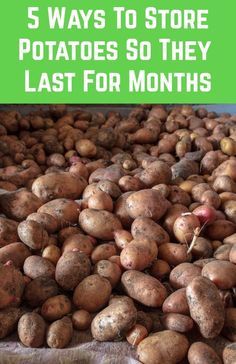 How To Save Potatoes, How To Store Potatoes From The Garden, Storing Potatoes For Winter, Freezing Potatoes, When To Harvest Potatoes, Garden In Containers, Storing Potatoes, Harvest Potatoes, Storing Onions