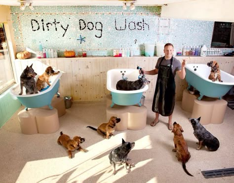 Grooming Tub Ideas, Pet Grooming Tub, Dog Daycare Business, Dog Grooming Tubs, Pet Cafe, Pet Grooming Salon, Dog Grooming Shop, Dog Spa, Dog Grooming Salons