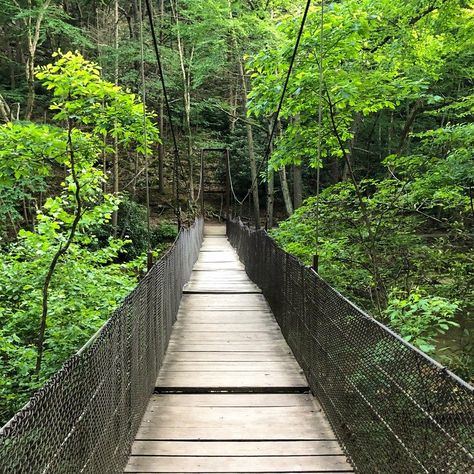 10 Gorgeous Hikes In Western Pennsylvania - TravelAwaits Roadtrip Ideas, Ohiopyle State Park, Presque Isle State Park, Natural Water Slide, Swinging Bridge, Balanced Rock, Pennsylvania Travel, Western Pennsylvania, Beautiful Hikes