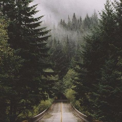 asleep | lofi by hedonist on SoundCloud Karakorum Highway, Forks Washington, Foggy Forest, Trail Mix, Nature Aesthetic, Pretty Places, Aesthetic Photography, Pretty Pictures, Beautiful World