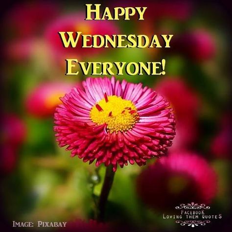 Happy Wednesday Everyone Pictures, Photos, and Images for Facebook ... Friday Drinking Quotes, Wednesday Flowers, Happy Wednesday Pictures, Friend Cards Funny, Wednesday Hump Day, Wednesday Morning Quotes, Wednesday Greetings, Monday Morning Quotes, Happy Wednesday Everyone