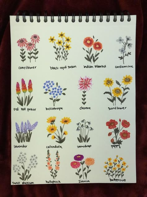 Easy Wildflower Drawing Step By Step, Paint Pen Flower Art, Acrylic Paint Pen Flowers, Flowers Drawing Markers, Flowers Marker Drawing, Brush Pen Art Drawing Easy Flower, Paint Marker Flowers, Paint Pen Flowers, Flower Marker Art