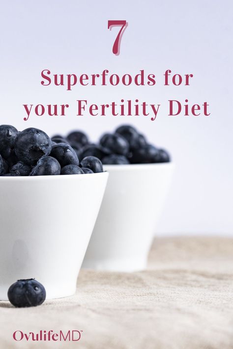 Top 7 Superfoods for your Fertility Diet - Learn what makes a great fertility food, how to pick the best superfoods for your fertility diet, and the difference between fertility supplements and superfoods. | OvulifeMD Keto For Fertility, Ttc Meals, Fertility Diet Meal Plan, Male Fertility Boost, Ttc Diet, Fertility Diet Recipes, Fertility Food, Ttc Tips, Fertility Smoothie