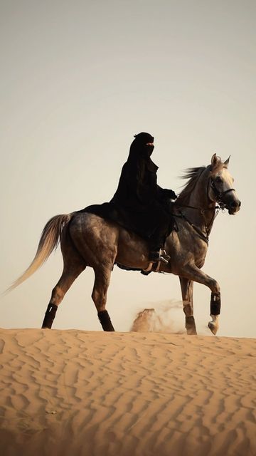 Aamina Shifa on Instagram: "Flying without wings with the cutest boy 🐎 Shot by: @travelwithorses 🎥 📍 @ms9dubai_desert_horse_ride #horseriding #horses #horsepower #horsegirl #equestrian #equestrianlife #horselove #horselife" Horse Riding Warrior, Horses In Desert, Desert Horse Riding, Desert Horse, Flying Without Wings, Desert Aesthetic, Romantic Era, Horse Aesthetic, Ding Dong