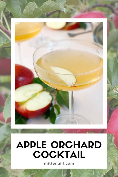 Skipping the traditional fall spices, elderflower liqueur keeps this apple vodka cocktail fresh and slightly floral. #vodka #fall #cocktails Apple Liqueur Cocktails, Apple Vodka Cocktails, Apple Recipes For Fall, Autumn Beverages, Green Apple Vodka, Drinks Vodka, Elderflower Cocktail, Vodka Cocktails Easy, Apple Vodka