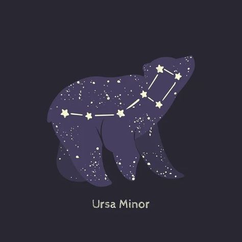 Bear Constellation, Starry Night Tattoo, Night Starry Sky, Sky Vector, Bear Tattoo Designs, Constellation Art, Ursa Minor, Rabbit Tattoos, Ursa Major