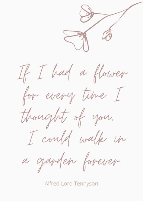 If I Had A Flower For Every Time Quotes, Love Quotes With Flowers, Garden Of Love Quotes, Wall Flower Quotes, Cute Quotes About Flowers, Sayings About Flowers, Flower Sayings Quotes, Flower Garden Quotes, Quotes About Flowers And Love