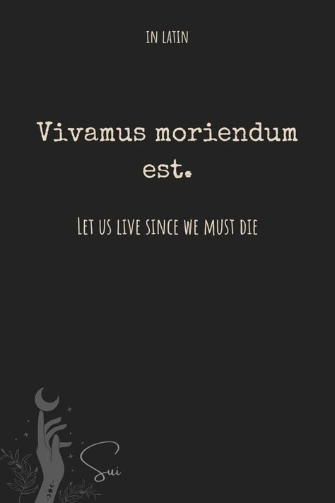 Vivamus moriendum est. Latin Word Tattoos, Vivamus Moriendum Est, Best Latin Quotes, Latin Phrase Tattoos, Latin Quote Tattoos, Obsessive Love, Phrase Tattoos, Meaningful Tattoo Quotes, Latin Quotes