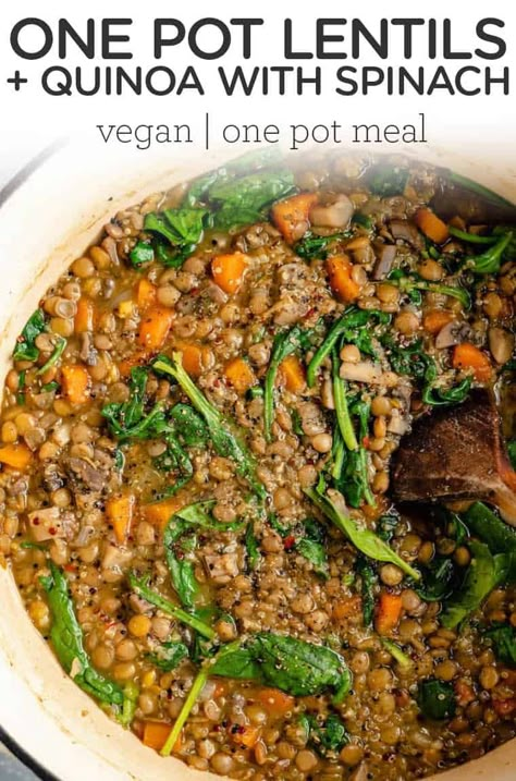 High Fiber Quinoa Recipes, Vegan Quinoa Recipes Dinner, High Fiber High Protein Dinner Recipes, Quinoa Lentil Recipes, Lentils And Quinoa Recipes, Quinoa And Lentil Recipes, One Pot Quinoa Recipes, High Fiber Instant Pot Recipes, Lentil And Quinoa Recipes