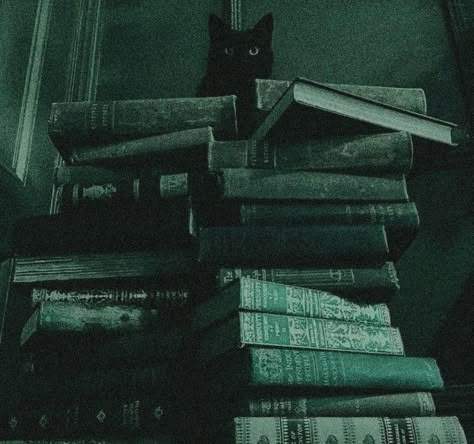 Emerald Green Dark Academia Aesthetic, Dark Green Fantasy Aesthetic, Dark Green School Aesthetic, Mute Green Aesthetic, Green Wizard Aesthetic, Phtalo Green Aesthetics, Slytherin Ravenclaw Aesthetic, Deep Green Aesthetic Vintage, Dark Green Halloween Aesthetic