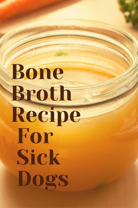 Foods Dogs Can Eat, Recovering From Surgery, Easy Dog Treat Recipes, Chicken Bone Broth, Make Dog Food, Dog Biscuit Recipes, Dog Remedies, Easy Dog Treats, Healthy Dog Treats Homemade