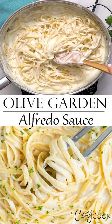 Olive Garden Alfredo Sauce Recipe, Olive Garden Alfredo, Olive Garden Alfredo Sauce, Resep Pasta, Fettuccine Pasta, Alfredo Sauce Recipe, Alfredo Recipe, Pasta Sauce Recipes, Olive Garden